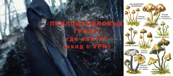 ПСИЛОЦИБИНОВЫЕ ГРИБЫ Володарск